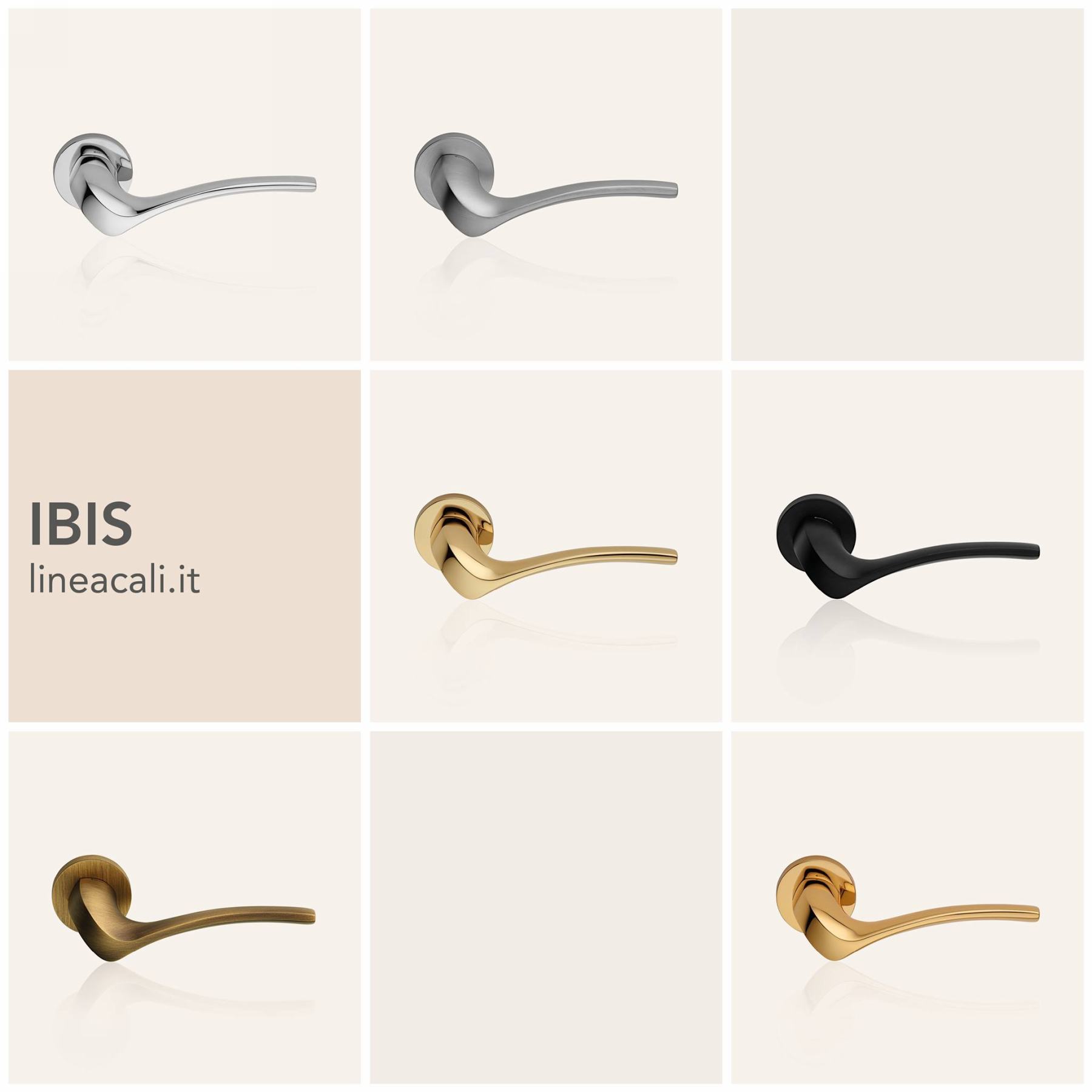 80 5 IBIS (4)