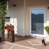 Galaxy Centre | Nova Pivot Armored Door Galaxy Centre | Nova Pivot Armored Door