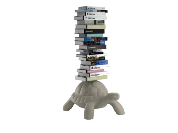 Galaxy Centre | Turtle Carry Bookcase