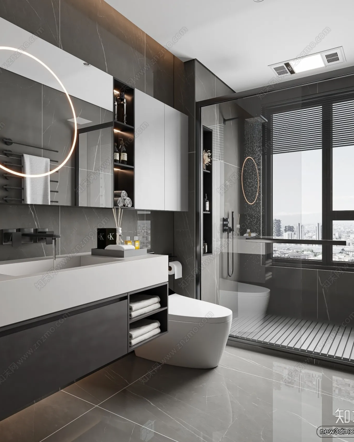 bathroom-wc-restroom-3d-interior-scene-modern-style-154